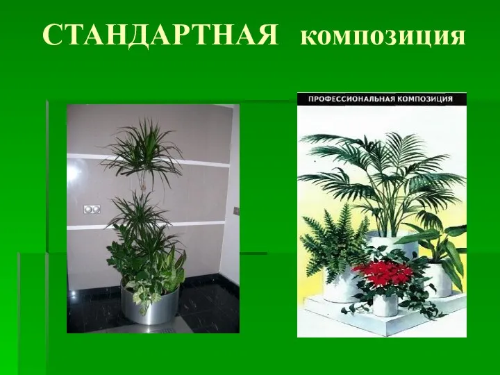 СТАНДАРТНАЯ композиция