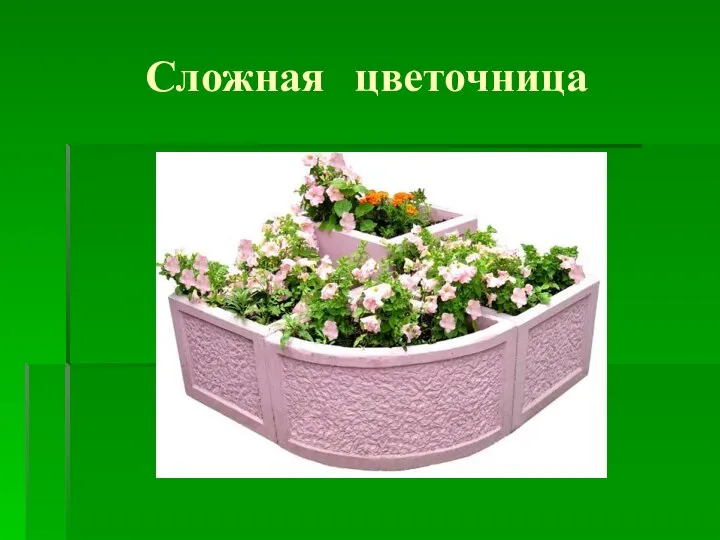 Сложная цветочница