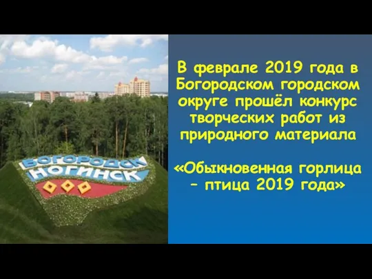 В феврале 2019 года в Богородском городском округе прошёл конкурс творческих