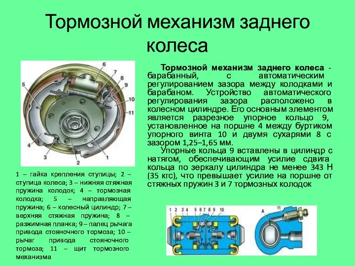 Тормозной механизм заднего колеса Тормозной механизм заднего колеса - барабанный, с