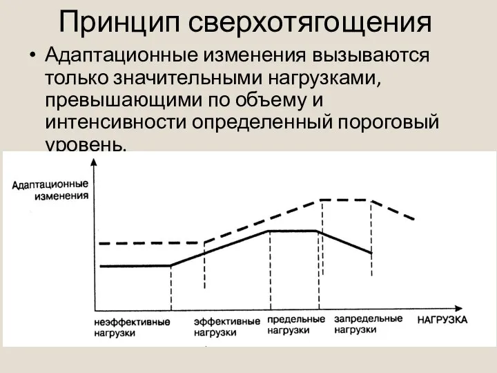 Принцип сверхотягощения Адаптационные изменения вызываются только значительными нагрузками, превышающими по объему и интенсивности определенный пороговый уровень.