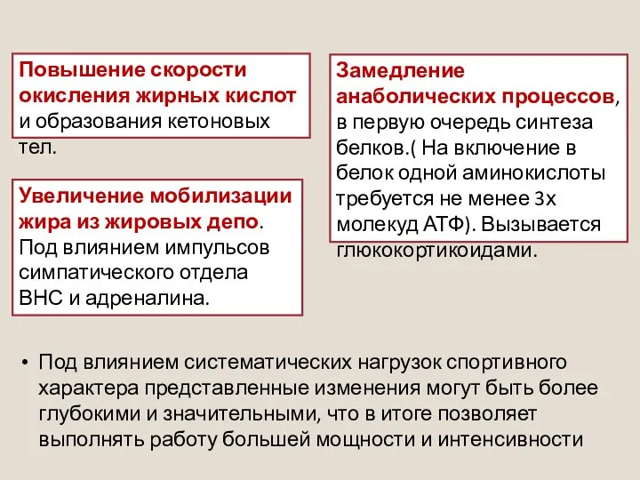 Повышение скорости окисления жирных кислот и образования кетоновых тел. Замедление анаболических