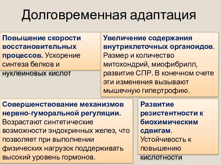 Долговременная адаптация Повышение скорости восстановительных процессов. Ускорение синтеза белков и нуклеиновых