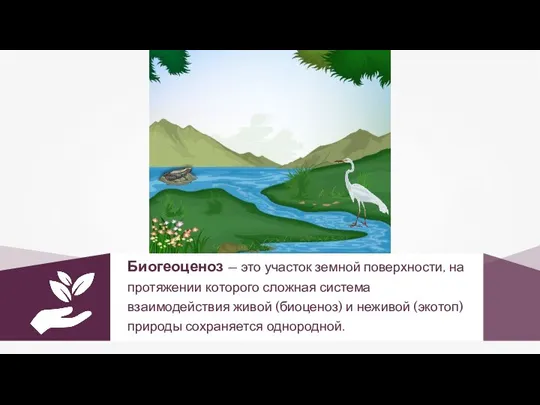 Биогеоценоз — это участок земной поверхности, на протяжении которого сложная система