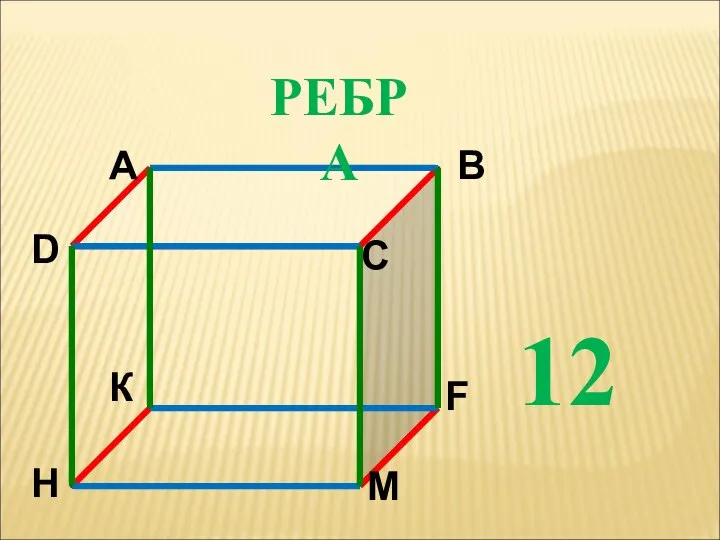 РЕБРА 12