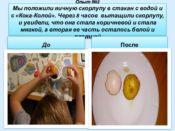 Опыт №2 Мы положили яичную скорлупу в стакан с водой и