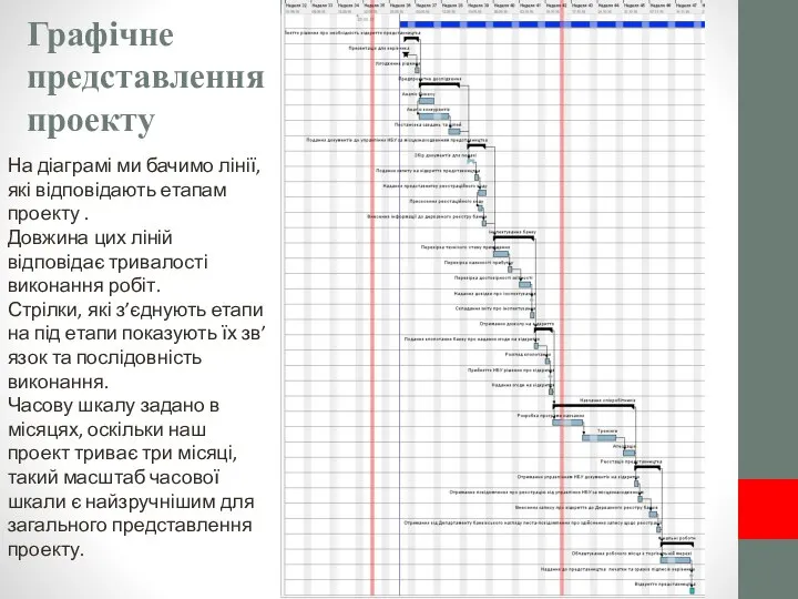 Графічне представлення проекту На діаграмі ми бачимо лінії, які відповідають етапам