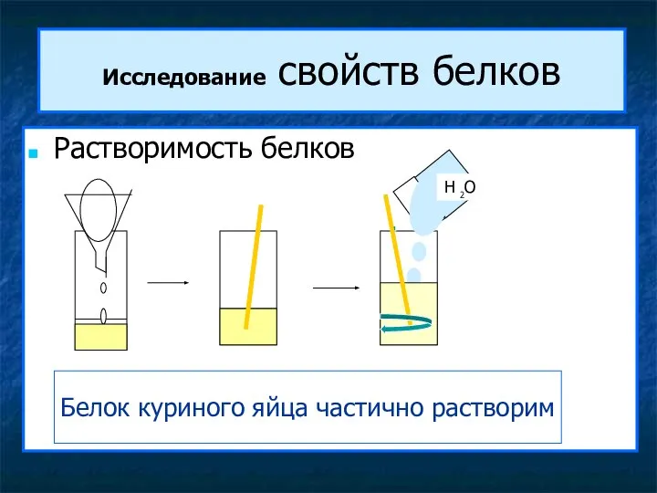 Исследование свойств белков Растворимость белков H 2O Белок куриного яйца частично растворим