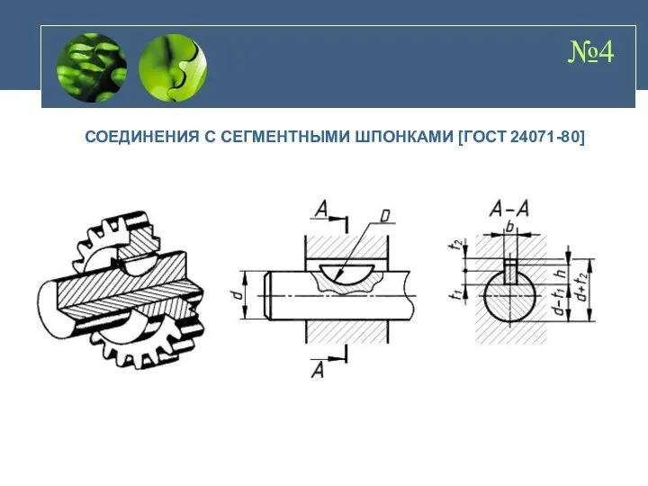 №4 СОЕДИНЕНИЯ С СЕГМЕНТНЫМИ ШПОНКАМИ [ГОСТ 24071-80]