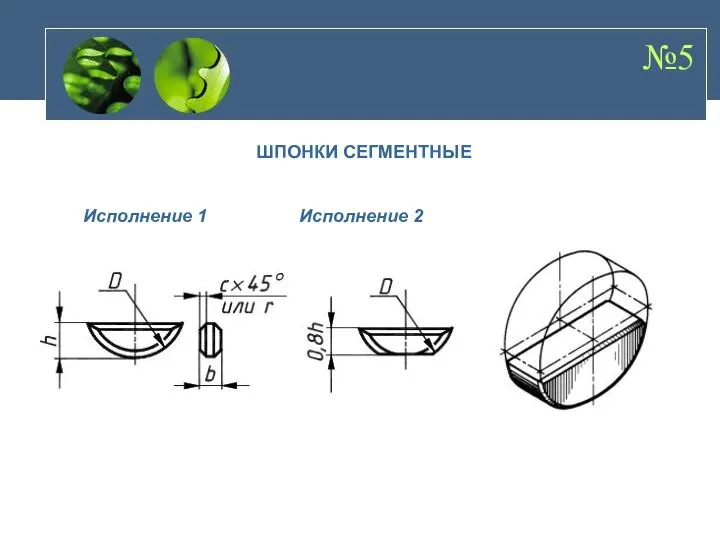 №5 ШПОНКИ СЕГМЕНТНЫЕ Исполнение 1 Исполнение 2