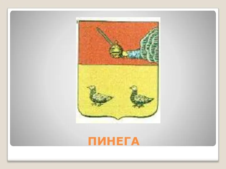 ПИНЕГА