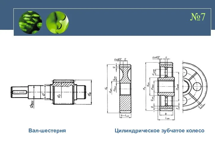 №7 Вал-шестерня Цилиндрическое зубчатое колесо