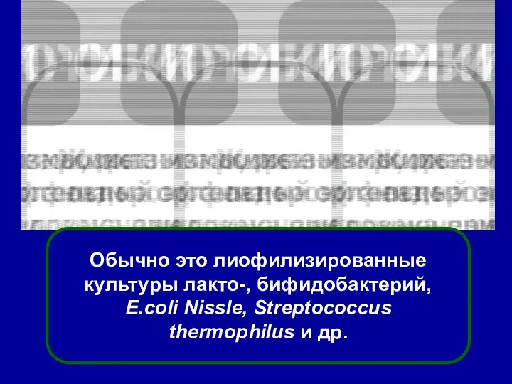 Пробиотики Обычно это лиофилизированные культуры лакто-, бифидобактерий, E.coli Nissle, Streptococcus thermophilus и др.