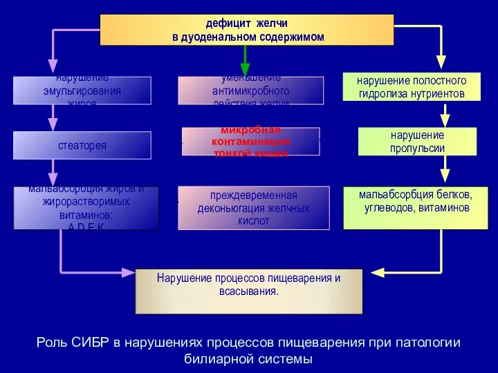 дефицит желчи в дуоденальном содержимом нарушение эмульгирования жиров стеаторея мальабсорбция жиров