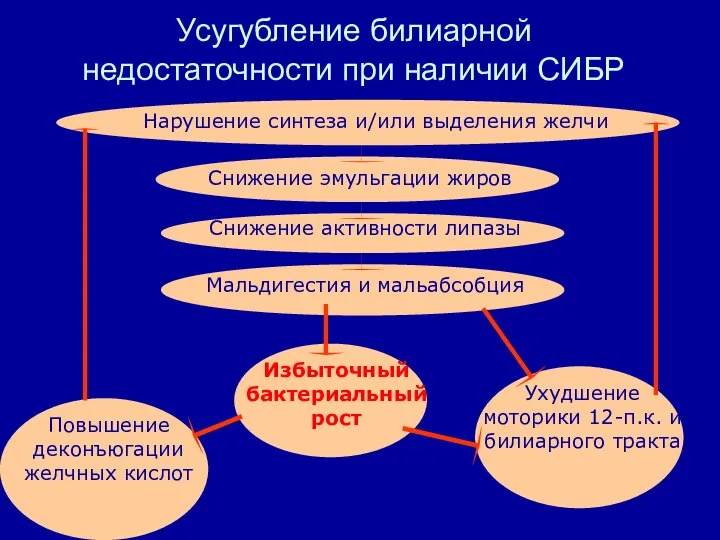 Усугубление билиарной недостаточности при наличии СИБР Нарушение синтеза и/или выделения желчи Снижение активности липазы