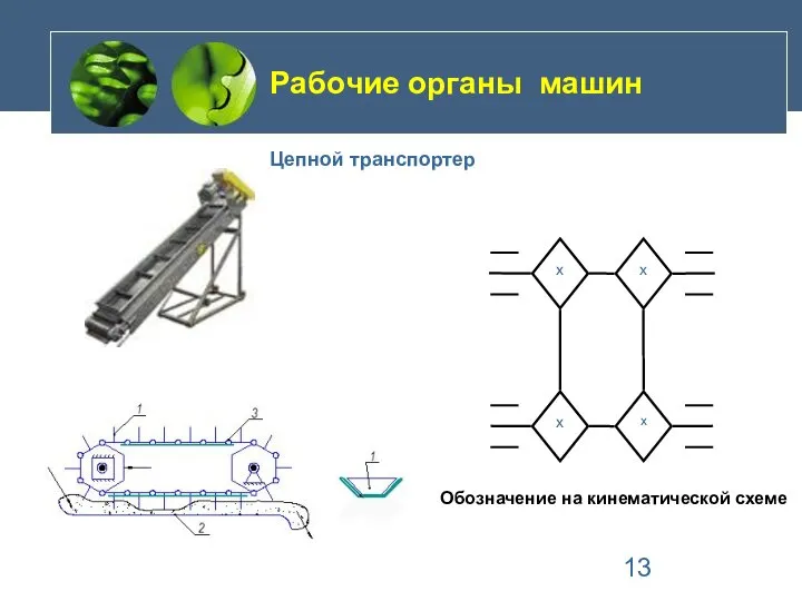 Рабочие органы машин Цепной транспортер Обозначение на кинематической схеме