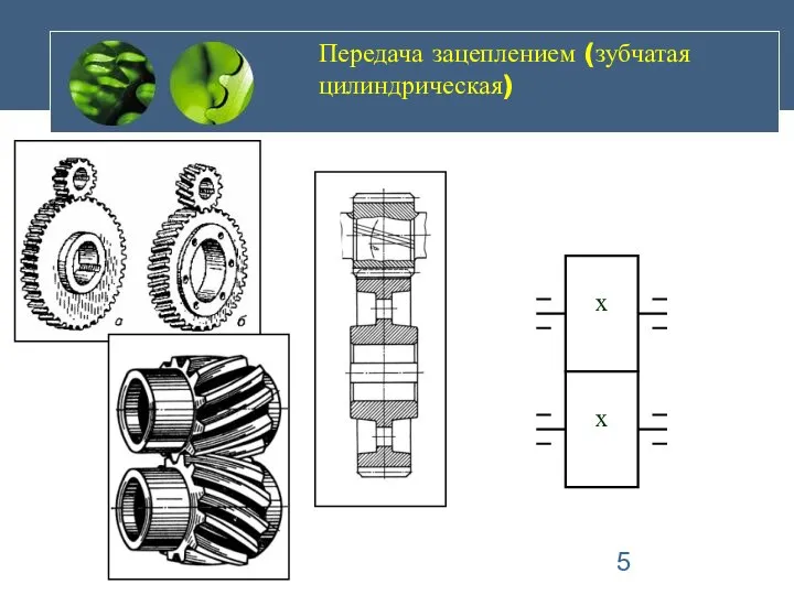 Передача зацеплением (зубчатая цилиндрическая)