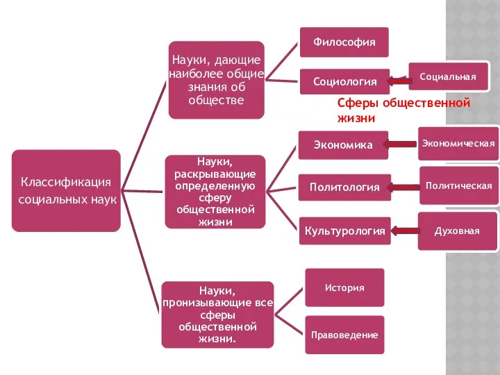 Сферы общественной жизни