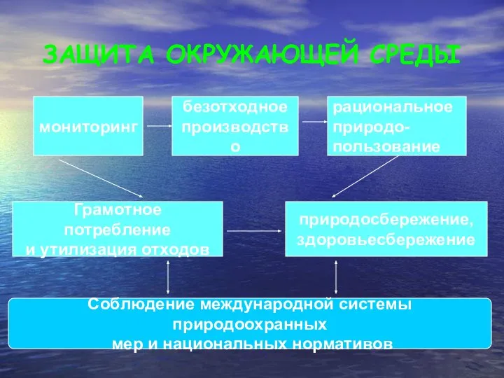 ЗАЩИТА ОКРУЖАЮЩЕЙ СРЕДЫ мониторинг Грамотное потребление и утилизация отходов рациональное природо-