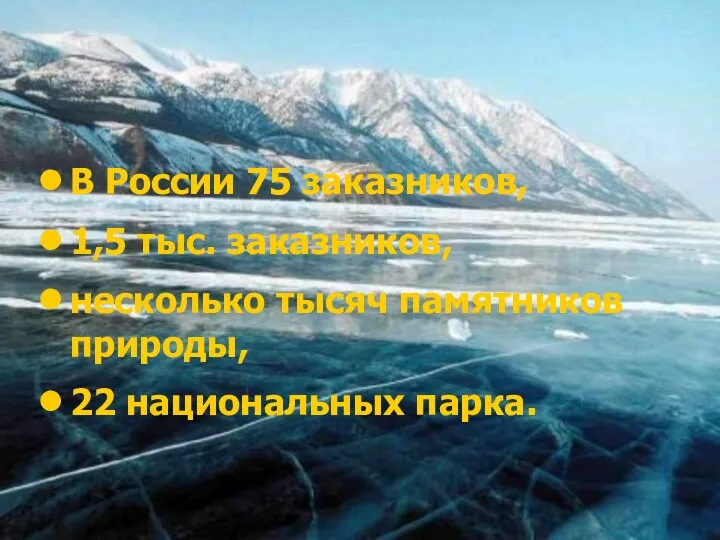 В России 75 заказников, 1,5 тыс. заказников, несколько тысяч памятников природы, 22 национальных парка.