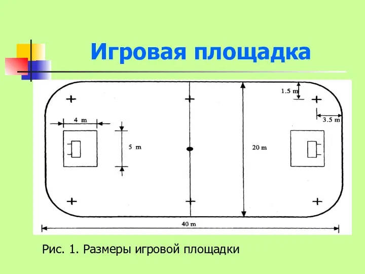 Игровая площадка Рис. 1. Размеры игровой площадки