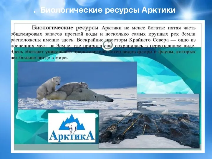 . Биологические ресурсы Арктики