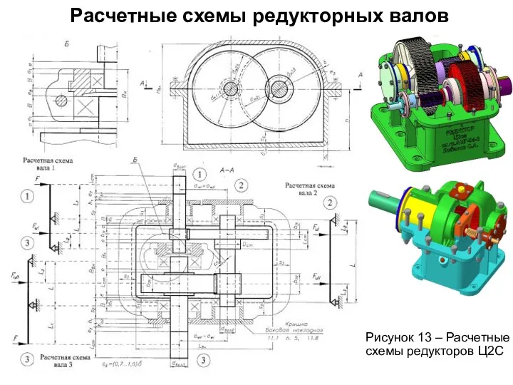 Расчетные схемы редукторных валов Рисунок 13 – Расчетные схемы редукторов Ц2С