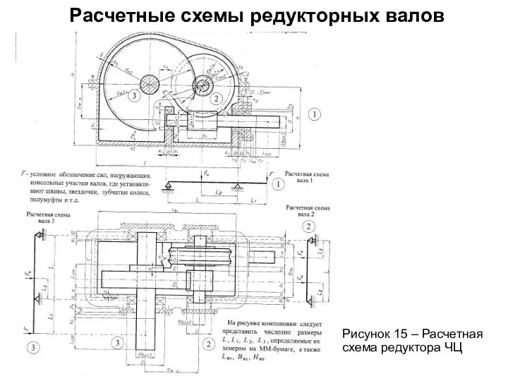 Расчетные схемы редукторных валов Рисунок 15 – Расчетная схема редуктора ЧЦ