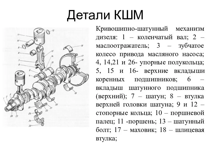 Детали КШМ Кривошипно-шатунный механизм дизеля: 1 – коленчатый вал; 2 –