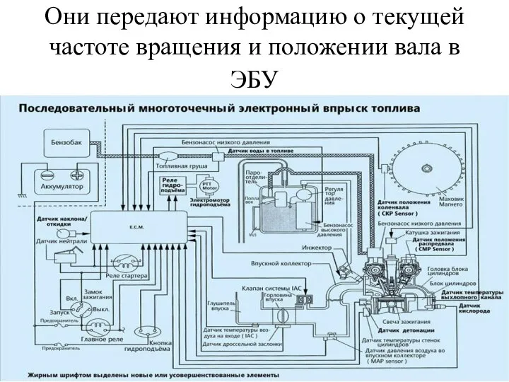 Они передают информацию о текущей частоте вращения и положении вала в ЭБУ