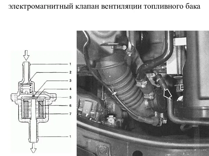 электромагнитный клапан вентиляции топливного бака