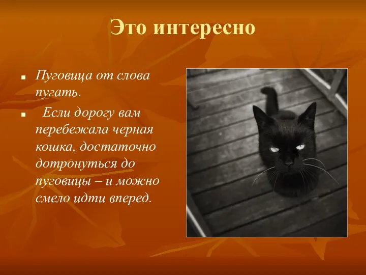 Это интересно Пуговица от слова пугать. Если дорогу вам перебежала черная