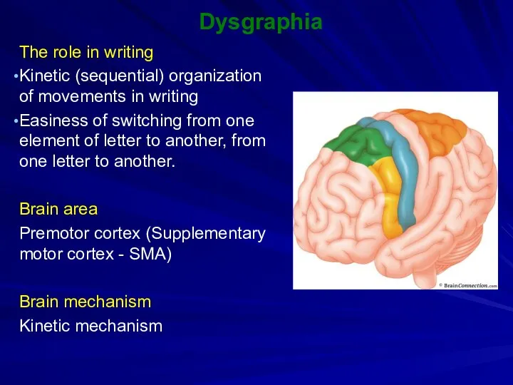 Dysgraphia The role in writing Kinetic (sequential) organization of movements in
