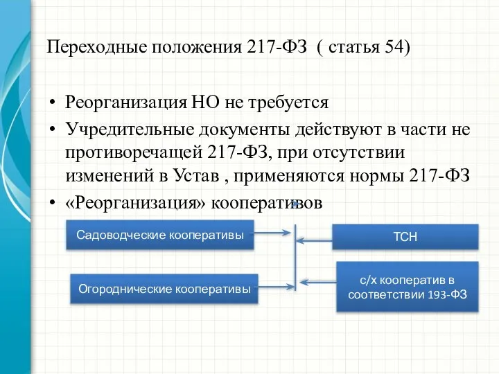 Переходные положения 217-ФЗ ( статья 54) Реорганизация НО не требуется Учредительные