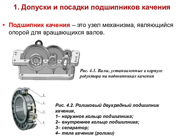 1. Допуски и посадки подшипников качения Подшипник качения – это узел