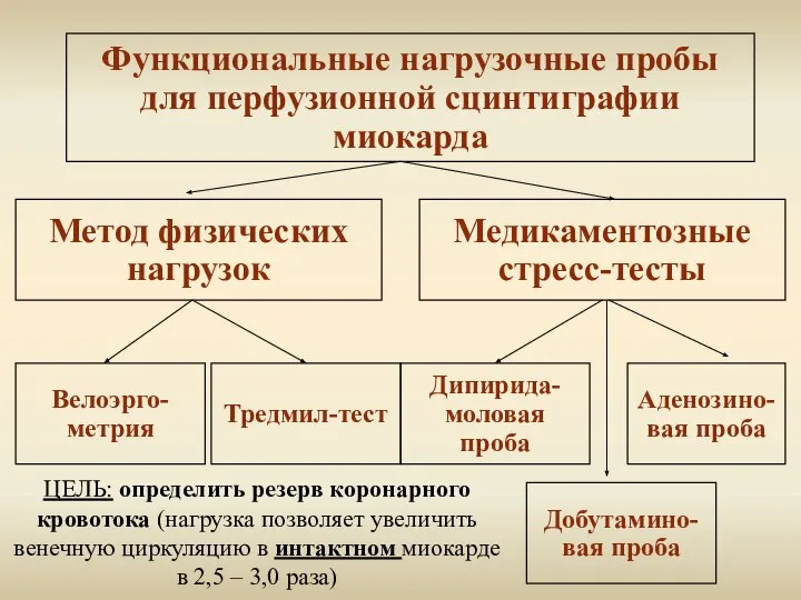 Функциональные нагрузочные пробы для перфузионной сцинтиграфии миокарда Метод физических нагрузок Медикаментозные