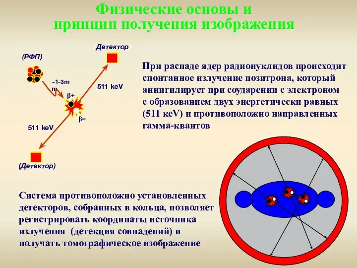 При распаде ядер радионуклидов происходит спонтанное излучение позитрона, который аннигилирует при