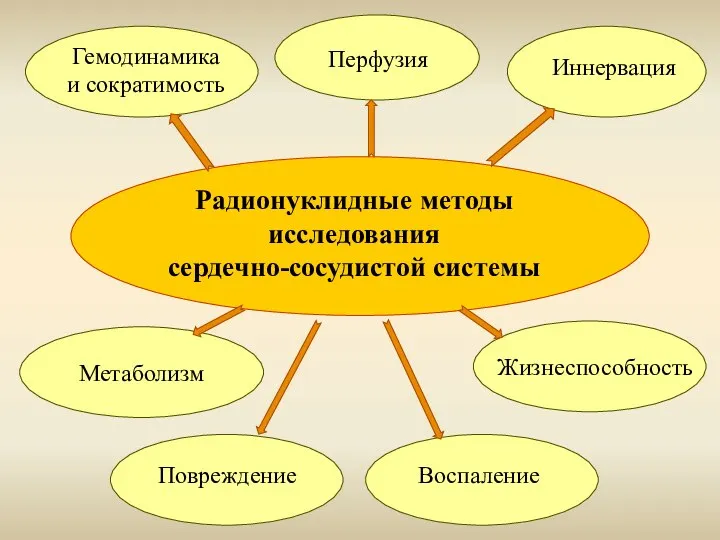 Радионуклидные методы исследования сердечно-сосудистой системы