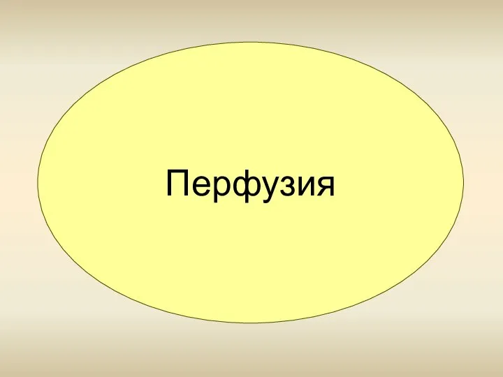 Перфузия