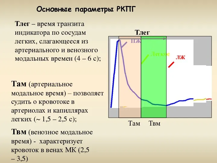 Тлег – время транзита индикатора по сосудам легких, слагающееся из артериального