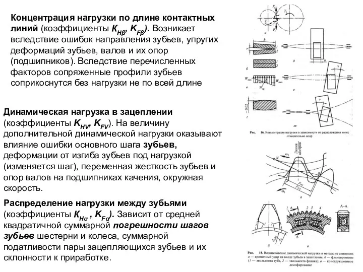 Концентрация нагрузки по длине контактных линий (коэффициенты КНβ, KFβ). Возникает вследствие