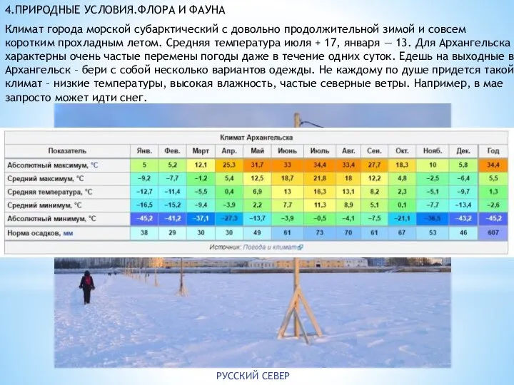 4.ПРИРОДНЫЕ УСЛОВИЯ.ФЛОРА И ФАУНА Климат города морской субарктический с довольно продолжительной