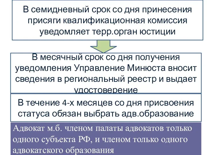 В семидневный срок со дня принесения присяги квалификационная комиссия уведомляет терр.орган