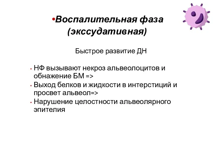 Воспалительная фаза (экссудативная) Быстрое развитие ДН НФ вызывают некроз альвеолоцитов и