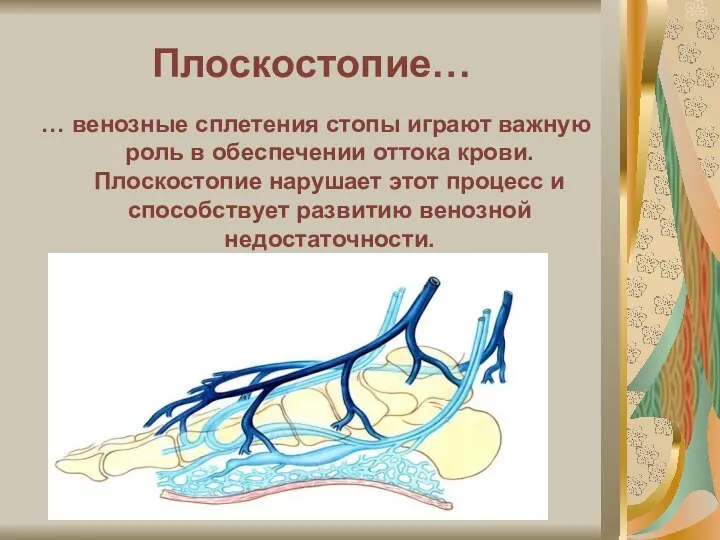 Плоскостопие… … венозные сплетения стопы играют важную роль в обеспечении оттока