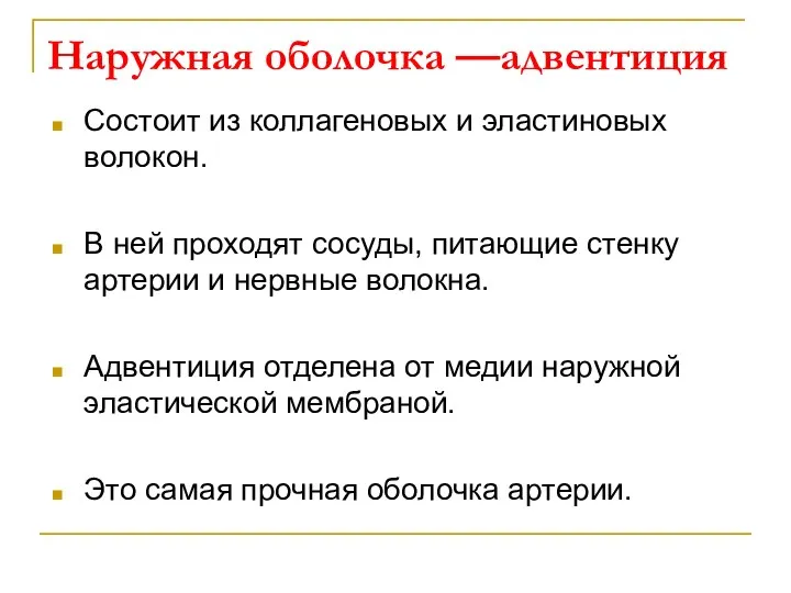 Состоит из коллагеновых и эластиновых волокон. В ней проходят сосуды, питающие