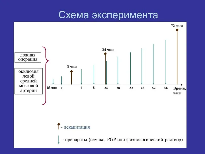 Схема эксперимента