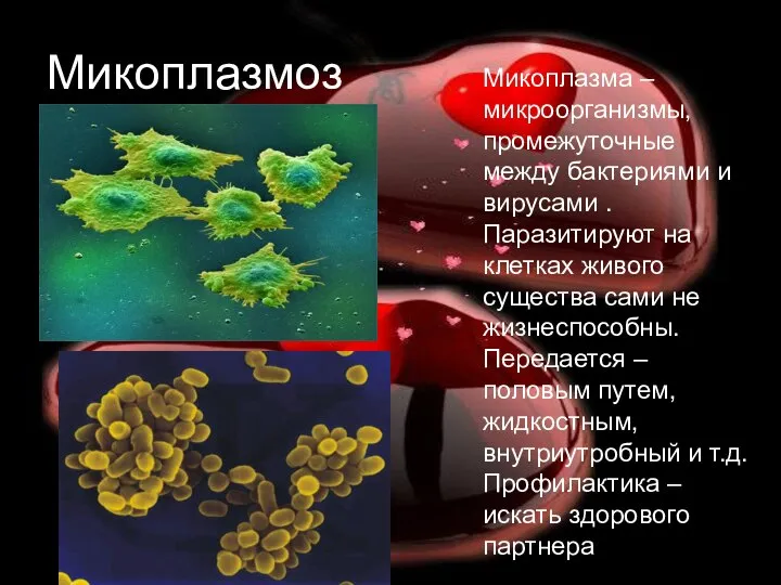 Микоплазмоз Микоплазма – микроорганизмы, промежуточные между бактериями и вирусами . Паразитируют