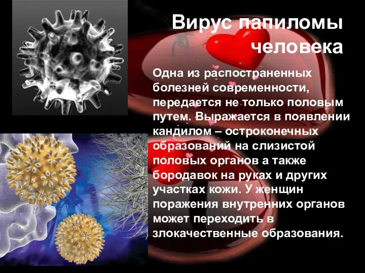 Вирус папиломы человека Одна из распостраненных болезней современности, передается не только