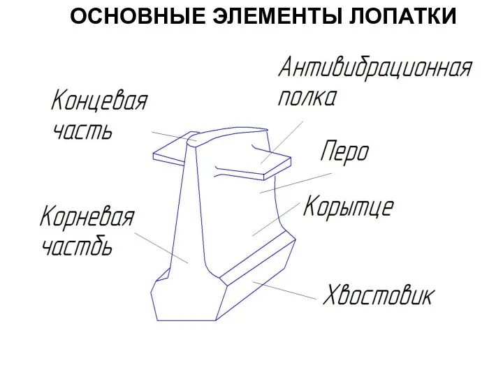 ОСНОВНЫЕ ЭЛЕМЕНТЫ ЛОПАТКИ